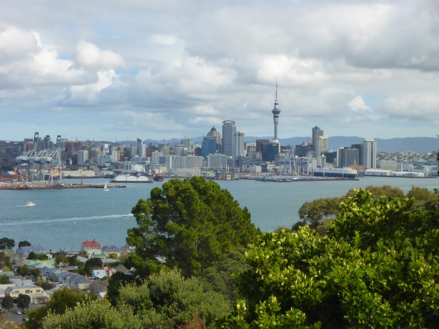 New Zealand Auckland Credit Bronwen Hill 2016